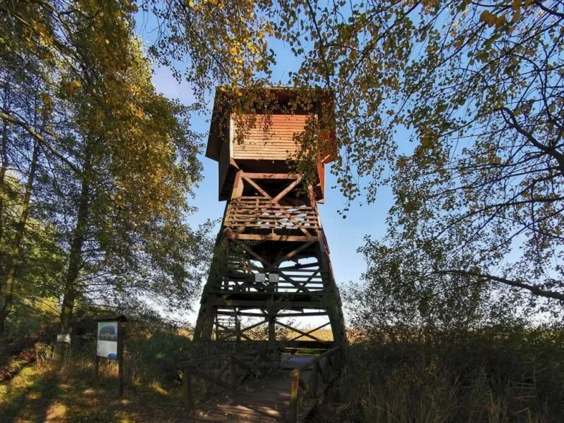 Widok na drewnianą, zadaszoną wieżę widokową w otoczeniu stawów Doliny Baryczy
