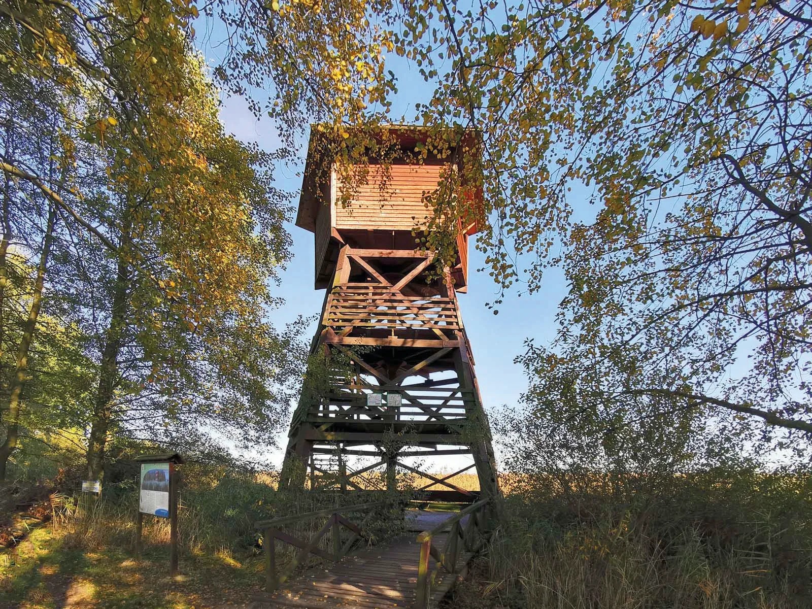 Widok na drewnianą, zadaszoną wieżę widokową w otoczeniu stawów Doliny Baryczy