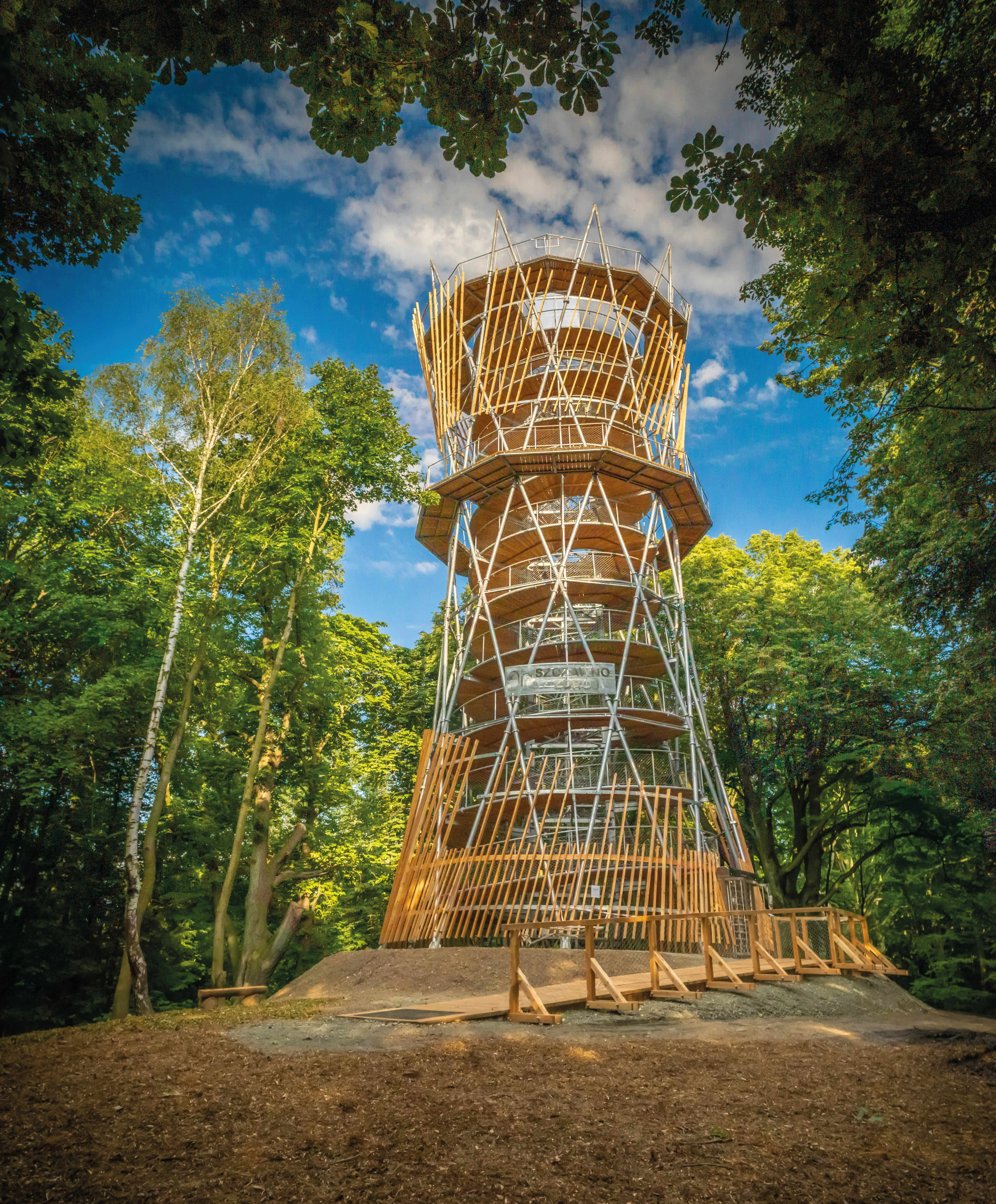 Widok na metalowo-drewnianą wieżę widokową w otoczeniu wysokich, zazielenionych drzew.