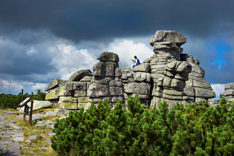 Formacja skalna, na której siedzi człowiek, schowana za kosodrzewiną.