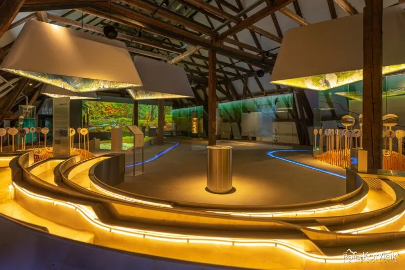 La salle moderne du Centre naturel et éducatif de Sobieszów dispose d'expositions éclairées par une lumière dorée, de formes organiques de podiums et de stations interactives.
