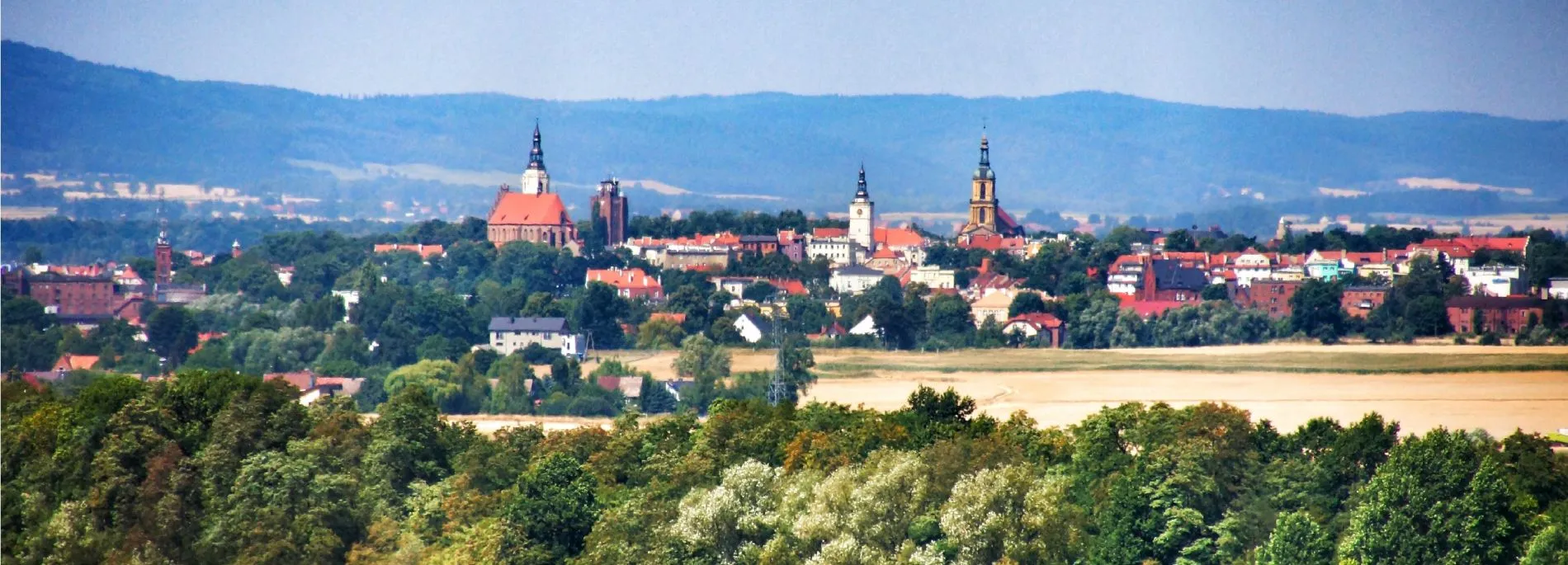 Widok z odległości na panoramę Dzierżoniowa, widoczne wieże kościołów i budynki mieszkalne, w tle Góry Sowie