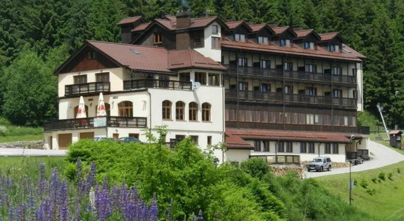 Duży, kilkupiętrowy budynek hotelu, położony na lekkim wzniesieniu, tuż przed lasem iglastym.