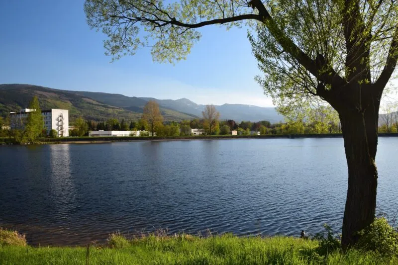 Widok na ogromny zalew, w tle góry, a na pierwszym planie po lewej stronie rozkwitające drzewo.