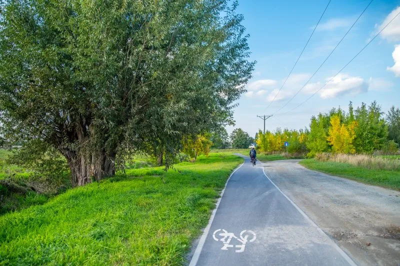 Asfaltowa, prosta trasa rowerowa z zadbanym trawnikiem i drzewem po lewej stronie