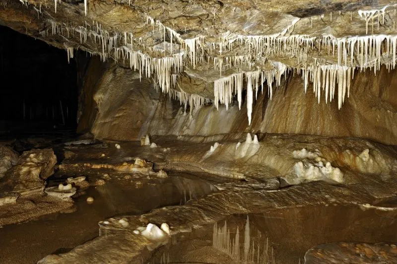 La Sala del Palazzo nella Grotta dell'Orso a Kletno incanta con le sue fitte file di stalattiti chiare, le concrezioni sulle pareti e i tranquilli laghetti sotterranei.