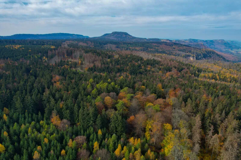 Widok na wzniesienie górskie i otaczający wszystko las
