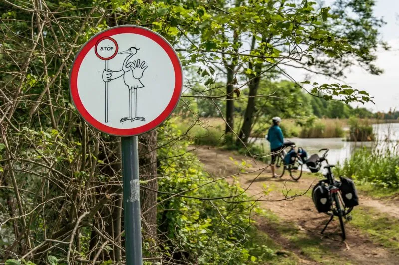 Rowerzysta patrzący w stronę zbiornika wodnego w otoczeniu zieleni