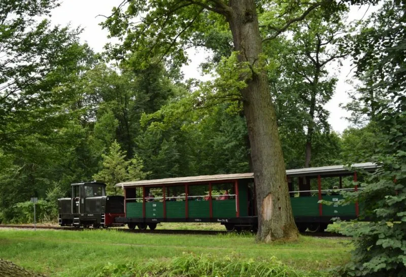 Stary parowóz z podłączonymi wagonami na torach w otoczeniu zieleni