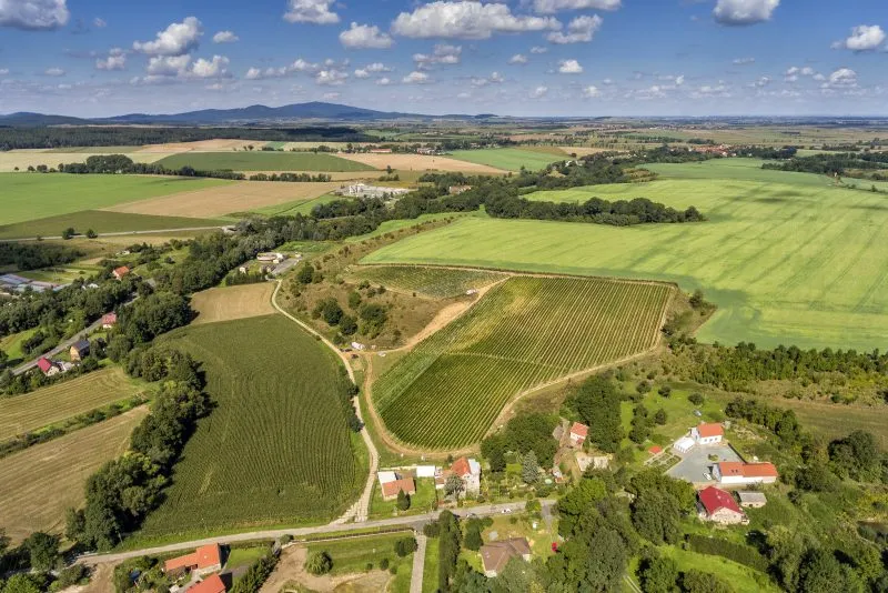 Zdjęcie winnicy Niemczańskiej z drona