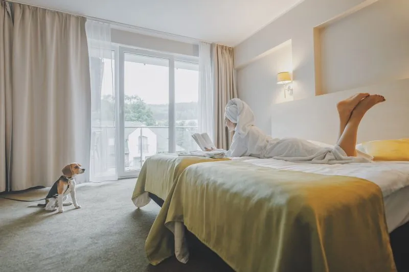 Świetlisty, jasny pokój hotelowy, z podwójnym łóżkiem, na którym na brzuchu leży czytająca książkę kobieta w szlafroku oraz ręczniku na głowie. Przy łożu siedzi pies.