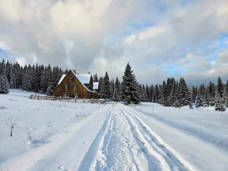 widok na ośnieżoną dro