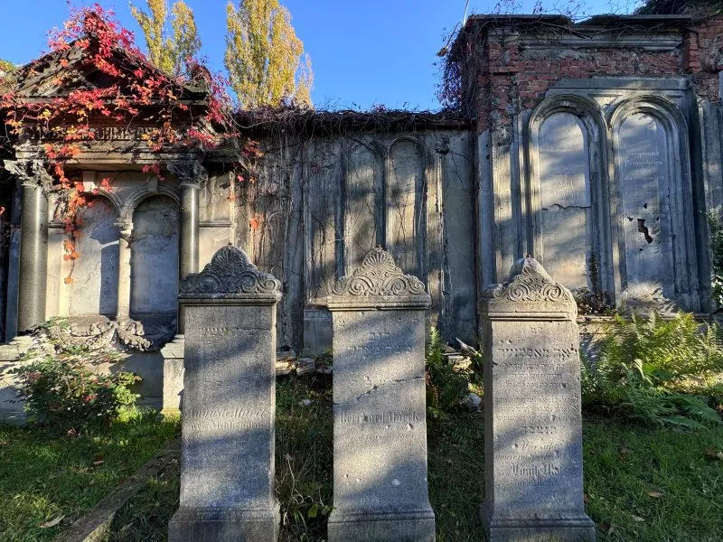 Zdjęcie kamiennych płyt nagrobnych na terenie cmentarza we Wrocławiu