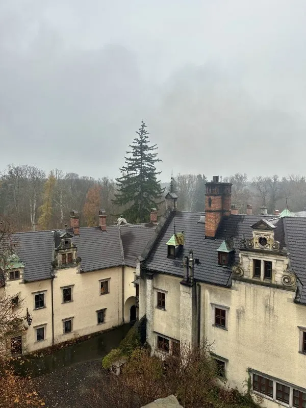Widok z wieży Jenny