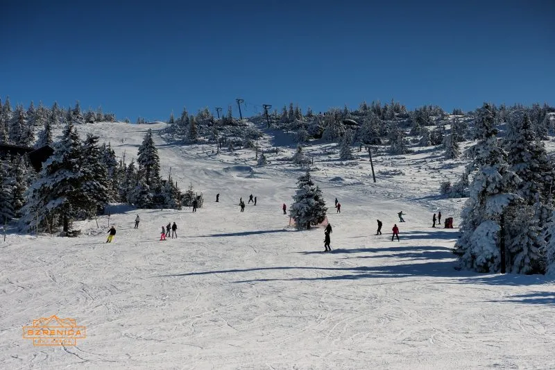 Stok narciarski z widocznymi narciarzami i snowboardzistami podczas jazdy