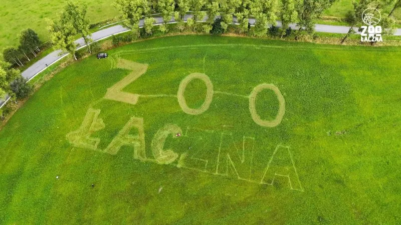 Napis Zoo Łączna wykoszony na trawie