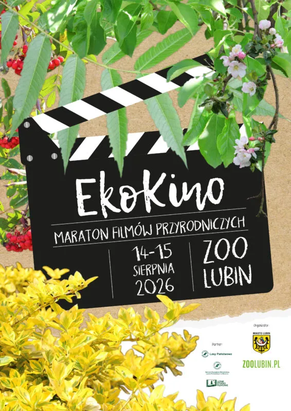 Plakat imprezy EkoKino która odbędzie się w Zoo Lubin w sierpniu 2026 z klapsem filmowym i napisami