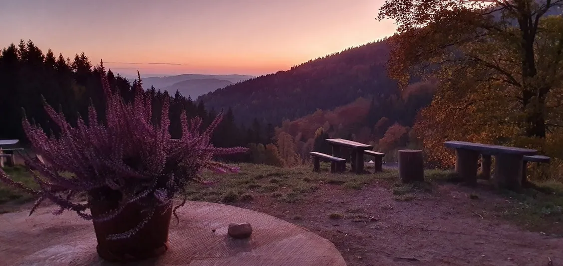 Widok na krajobraz przy zachodzie słońca.