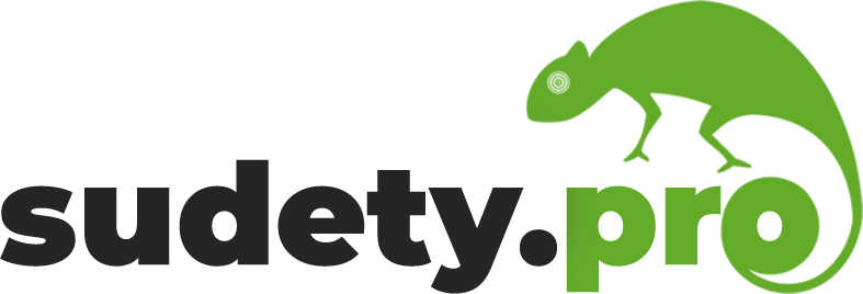 logo sudety.pro w kolorze zielono-czarnym z "siedzącym na literze "o" zielonym kameleonem