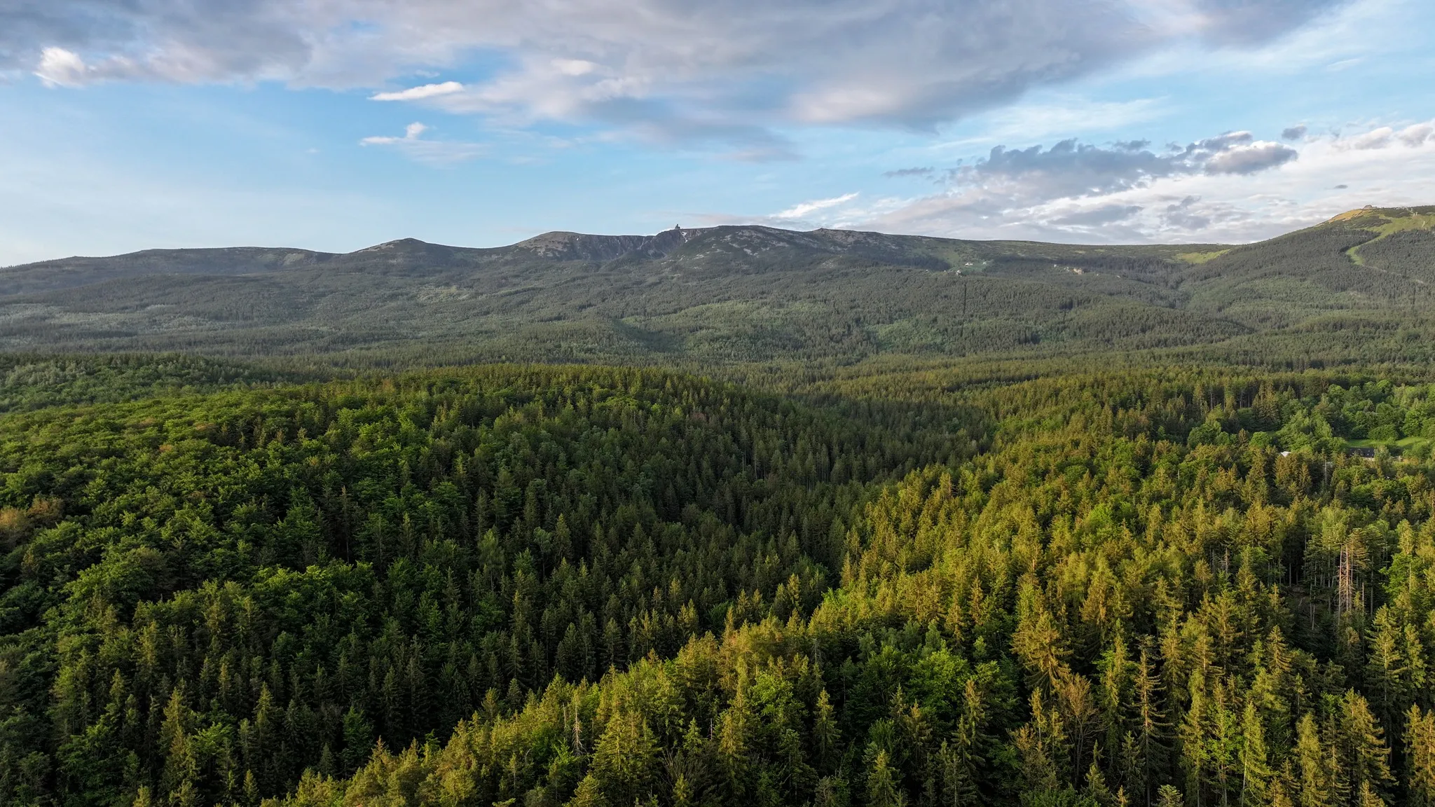 Widok z drona na lasy pokrywające Karkonosze