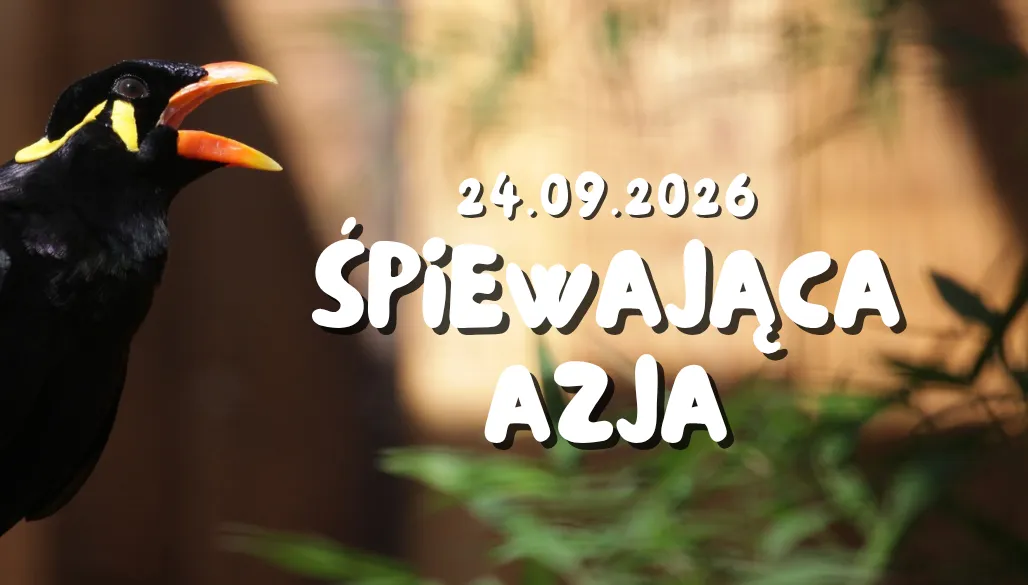 Śpiewająca Azja to nowa ekspozycja w Zoo Łączna